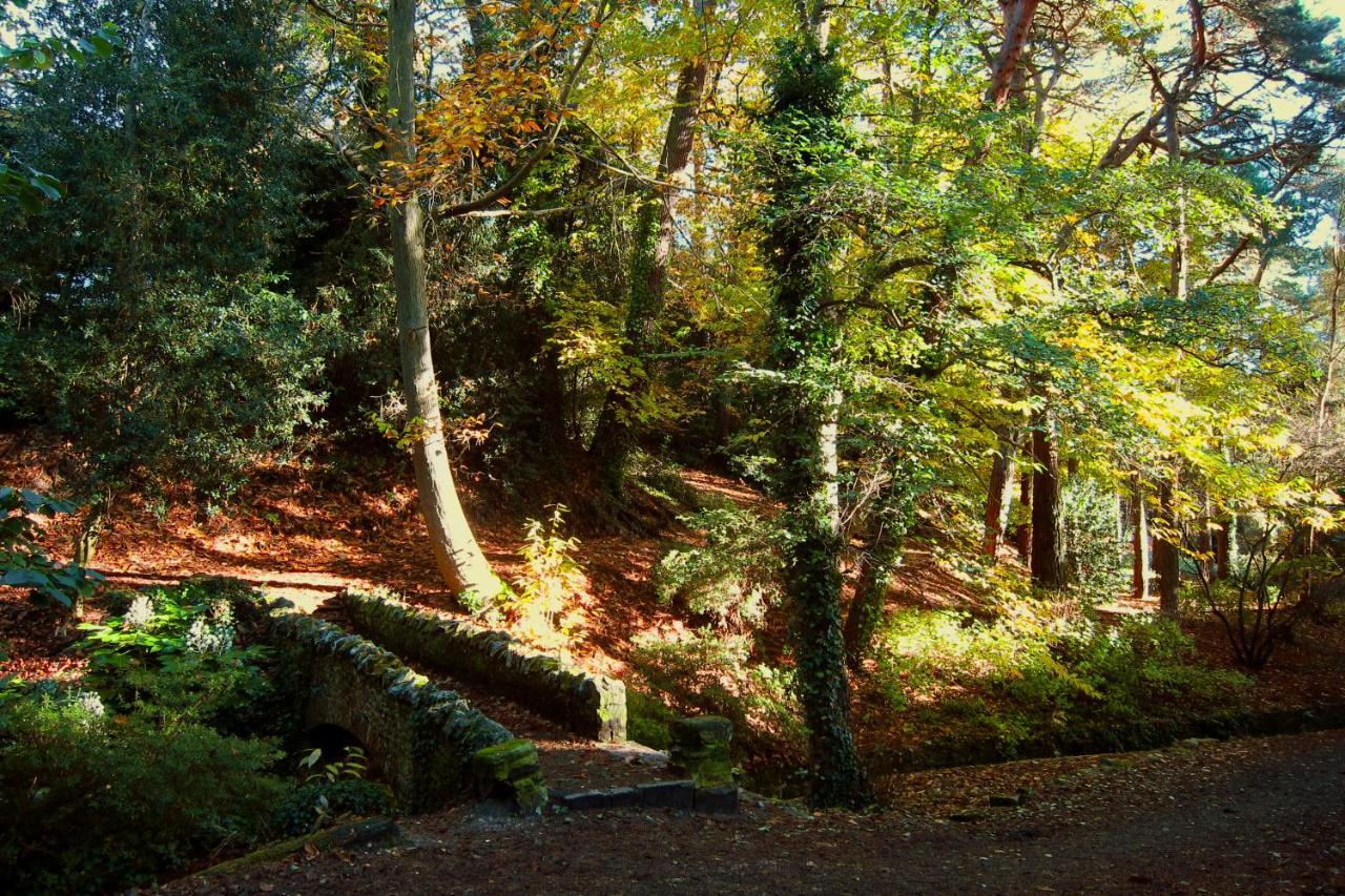 Yoku House Leilighet Bournemouth Eksteriør bilde